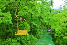 블라인드 | 지산 뉴스