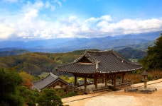 역사가 흐르는 경북 여행① | 한국경제 역사가 흐르는 경북 여행①