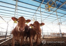 FTA 피해보전지원 대상에 한우·녹두 등 4개 품목 선정 | 한국경제 FTA 피해보전지원 대상에 한우·녹두 등 4개 품목 선정