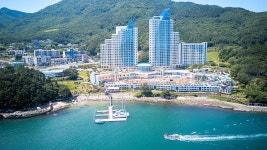 블라인드 | 소노인터내셔널 뉴스