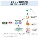 파킨슨병 신약 개발 중인 카이노스메드…질환 진행 막는 약은 우리가... 신약 개발 중인 카이노스메드…“질환 진행 막는 약은 우리가 유일”