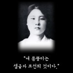 <상록수>를 보고 읽고 들으며 화합의 대한민국을 생각해 본다 | 한국경제 <상록수>를 보고 읽고 들으며 화합의 대한민국을 생각해 본다