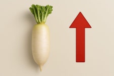 재배지 면적 50년來 최소…무, 1년새 123% 뛰어 | 한국경제 재배지 면적 50년來 최소…무, 1년새 123% 뛰어 [프라이스&]