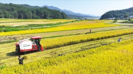 천고마비, 위기의 계절서 풍요의 계절로 | 한국경제 [홍성호 기자의 열려라! 우리말] 천고마비, 위기의 계절서 풍요의 계절로