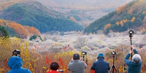 비밀의정원/뮤즈돌 | 서리 내린 비밀의 정원 | 한국경제 [포토] 서리 내린 비밀의 정원