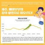 엄마 땐 허니문 성지였는데…예비부부, 제주도에 몰리는 이유 | 한국경제 엄마 땐 허니문 성지였는데…예비부부, 제주도에 몰리는 이유