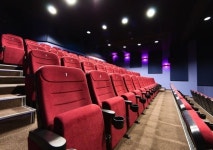 영화관 안가요 발길 뚝 끊기더니 결국…CGV, 희망퇴직 단행 | 한국경제 영화관 안가요 발길 뚝 끊기더니 결국…CGV, 희망퇴직 단행