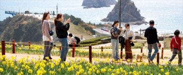 오륙도에 핀 봄 | 한국경제 [포토] 오륙도에 핀 봄 