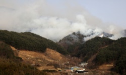 산청·하동 산불, 강풍에 진주까지 확산…진화율 87% | 한국경제 산청·하동 산불, 강풍에 진주까지 확산…진화율 87% [종합]