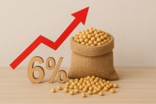 대두 가격 다시 오름세…미중 갈등·중국 수요 둔화가 변수 | 한국경제 대두 가격 다시 오름세…미중 갈등·중국 수요 둔화가 변수 [원자재 포커스]