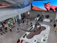 공룡 덕후 모여라…서대문자연사박물관, 주민에 무료개방 | 한국경제TV 공룡 덕후 모여라…서대문자연사박물관, 주민에 무료개방