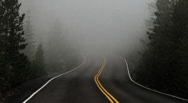 둔해진 게 아니라, 배우고 있거든요 | 한국경제 둔해진 게 아니라, 배우고 있거든요