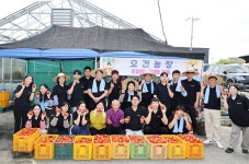 이천 농장에서 딴 토마토, 파머스 마켓에서 팔아요 | 한국경제 이천 농장에서 딴 토마토, 파머스 마켓에서 팔아요