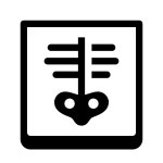 X-ray icon in Windows 11 Filled Style