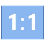 Original Size icon in Office Style