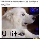   harryhenry5 on iFunny :)   harryhenry5 on iFunny