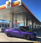   hennessey, dodge, challenger, srt, hellcat - iFunny :)  Everybody gets a meme
