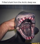   UNEXPLAlNED on iFunny :)   UNEXPLAlNED on iFunny
