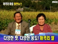 429회 강원도 횡성군 공근면 매곡리 | 429회 | 늘 푸른 인생 | 만나면 좋은 친구 MBC 늘 푸른 인생 | 만나면 좋은 친구 MBC