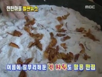 435회 전라남도 화순군 한천면 한계리 한천마을 | 435회 | 늘 푸른 인생 | 만나면 좋은 친구 MBC 늘 푸른 인생 | 만나면 좋은 친구 MBC