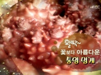 꽃보다 아름다운 통영 멍게가 활짝~ 3. 봄을 부르는 금빛 유혹, 성주 참외 4. 재미도 잡고 추억도 잡는다! 옥천 다슬기 | 112회 | 그린실버... 