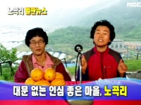 412회 경상북도 고령군 다산면 노곡리 | 412회 | 늘 푸른 인생 | 만나면 좋은 친구 MBC 늘 푸른 인생 | 만나면 좋은 친구 MBC