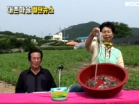 423회 전라남도 신안군 압해면 송공리 대촌마을 | 423회 | 늘 푸른 인생 | 만나면 좋은 친구 MBC 늘 푸른 인생 | 만나면 좋은 친구 MBC