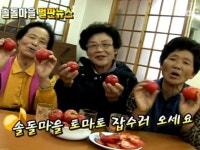 440회 강원도 정선군 북평면 남평1리 솔돌마을 | 440회 | 늘 푸른 인생 | 만나면 좋은 친구 MBC 늘 푸른 인생 | 만나면 좋은 친구 MBC