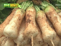 455회 전라남도 영암군 시종면 만수리 | 455회 | 늘 푸른 인생 | 만나면 좋은 친구 MBC 늘 푸른 인생 | 만나면 좋은 친구 MBC