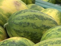 1. 우리 것은 좋은 것이여! 삼베길쌈마을 2. 새까만 조개의 변신... 포구를 수놓은 은빛향연, 멸치잡이 대작전! | 167회 | 그린실버 고향이 좋다... 