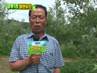 471회 경북 영주시 풍기읍 금계1리 | 471회 | 늘 푸른 인생 | 만나면 좋은 친구 MBC 늘 푸른 인생 | 만나면 좋은 친구 MBC