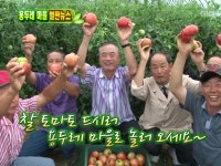 472회 인천시 강화군 내가면 황청1리 용두레 마을 | 472회 | 늘 푸른 인생 | 만나면 좋은 친구 MBC 늘 푸른 인생 | 만나면 좋은 친구 MBC