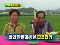 [473회] 473회 강원도 철원군 갈말읍 군탄2리 | 늘 푸른 인생; | 만나면 좋은 친구 MBC [늘 푸른 인생] 473회 강원도 철원군 갈말읍 군탄2리