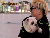 다시보기 | 우리집 막둥이 | 만나면 좋은 친구 MBC