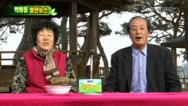 503회 경북 포항시 북구 신광면 죽성1리 | 503회 | 늘 푸른 인생 | 만나면 좋은 친구 MBC 늘 푸른 인생 | 만나면 좋은 친구 MBC