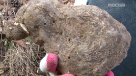 복령 (강원 강릉) 2. 흑염소 (충북 청원) 3. 웅어 (경기 김포) 4. 꽃게 (충남 보령) | 그린실버 고향이 좋다; | 만나면 좋은 친구 MBC [그린실버... 