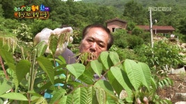 경북 칠곡군 동명면 송산3리 옻밭 마을 | 519회 | 늘 푸른 인생 | 만나면 좋은 친구 MBC 늘 푸른 인생 | 만나면 좋은 친구 MBC