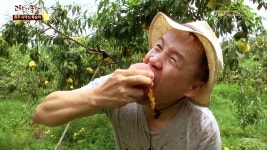 종현어촌체험마을 (경기 안산) 3. 노래미 (충남 태안) 4. 황복 (경남 통영) | 그린실버 고향이 좋다; | 만나면 좋은 친구 MBC [그린실버 고향이... 