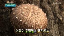 김장 (경기 연천) 4. 고향탐방 (강원 양양) | 295회 | 그린실버 고향이 좋다 | 만나면 좋은 친구 MBC 그린실버 고향이 좋다 | 만나면 좋은 친구... 