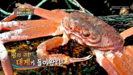 고향탐방 (강원 고성) 물메기 (경남 남해) 알로에 (경남 거제) 대게 (강원 강릉) | 300회 | 그린실버 고향이 좋다 | 만나면 좋은 친구 MBC... 