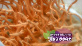 1. 동충하초 (강원도 횡성) 2. 취나물 (경상남도 하동) 3. 예산장 (충청남도 예산) 4. 문어 (경상북도 영덕) | 260회 | 그린실버 고향이 좋다... 