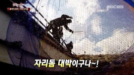 1. 약도라지 (경기 여주) 2. 유황오리 (경북 예천) 3. 자리돔 (경남 거제) 4. 삼치 (제주 추자) | 265회 | 그린실버 고향이 좋다 | 만나면 좋은... 