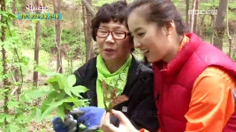 산나물 (경북 영양) 2. 재첩 (경남 하동) 3. 산양 (충남 금산) 4. 조복산삼 (경기 남양주) | 그린실버 고향이 좋다; | 만나면 좋은 친구 MBC... 