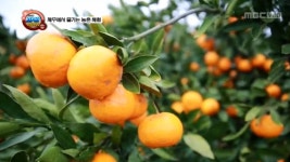 진부령, 황태 덕장 이야기 3. 겨울 산행 사고, 원인은 안전 불감증 4. 겨울철 불청객‘뇌졸중’ 5. 노벨상을 꿈꾸는 아이들 | 204회 | MBC... 