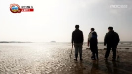 한국 영화 돌풍 5. 시민의 발, 버스 안전사고 | 208회 | MBC 파워매거진 | 만나면 좋은 친구 MBC MBC 파워매거진  | 만나면 좋은 친구 MBC