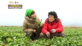 시금치 (경상남도 남해) 4. 고향탐방 - 소도둑놈마을 (강원도 평창) | 307회 | 그린실버 고향이 좋다 | 만나면 좋은 친구 MBC 그린실버 고향이... 