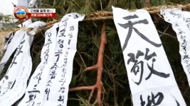 내 아이가 카페인 중독? 4. 화(火)나는 튀김 요리 | 210회 | MBC 파워매거진 | 만나면 좋은 친구 MBC MBC 파워매거진  | 만나면 좋은 친구 MBC