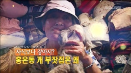 자식보다 강아지? 홍은동 개부잣집은 왜 | 301회 | 리얼스토리 눈 | 만나면 좋은 친구 MBC 리얼스토리 눈 | 만나면 좋은 친구 MBC