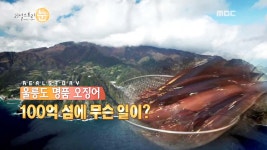 울릉도 오징어 부부 100억 섬 왜 떠나려하나 | 593회 | 리얼스토리 눈 | 만나면 좋은 친구 MBC 리얼스토리 눈 | 만나면 좋은 친구 MBC