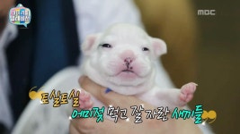 마이 리틀 텔레비전 92회 | 지금무료 | 만나면 좋은 친구 MBC